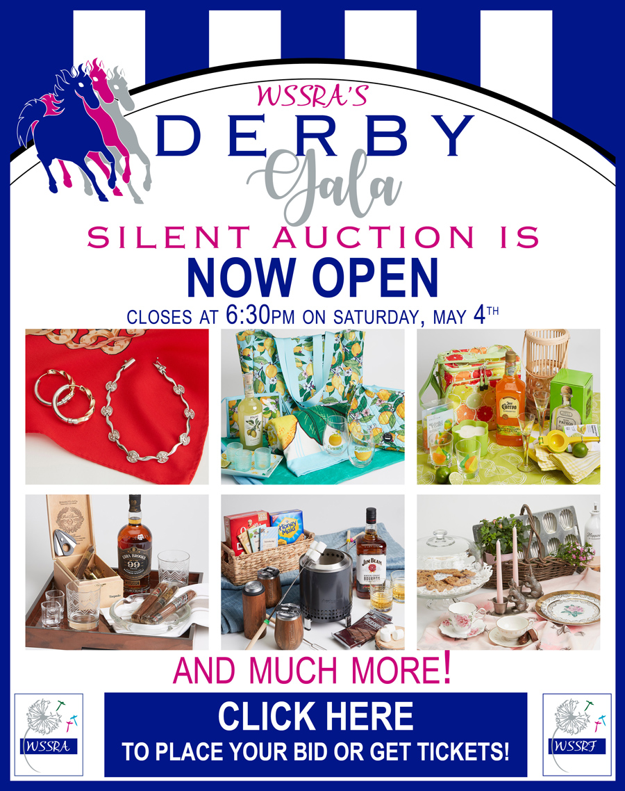 Derby auction 2024